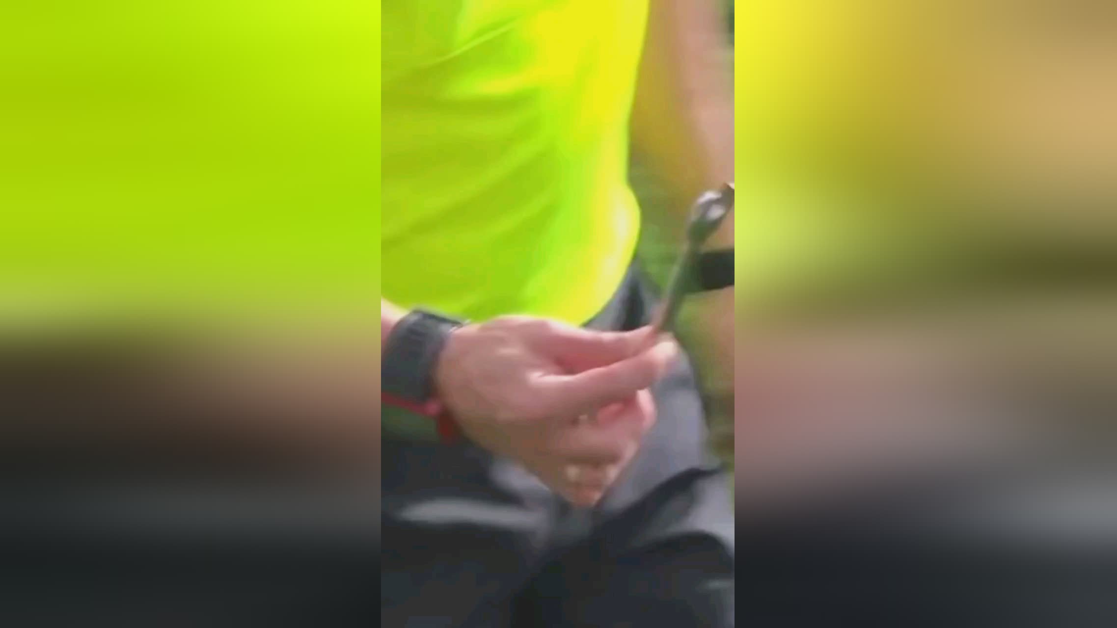 波比分落后